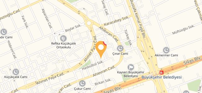 Meo Cezir Internet & Oyun Cafe, Serçeönü