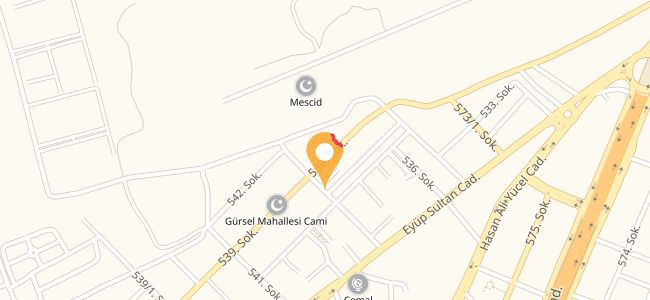 Lezzet Tavuk Evi & Kebap Çeşitleri, Gürsel