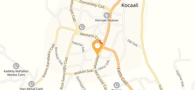 Alemdar Ekmek, Kocaali Merkez
