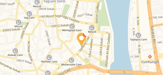 Taşköprü Döner, Türkocağı