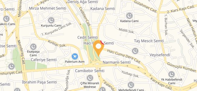 Aktaş Tavuk Dönerci, Rabia Ana