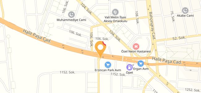 Bolulu Hasan Usta, Ergenekon