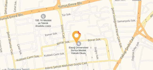 Çarşı Piknik, Rızaiye