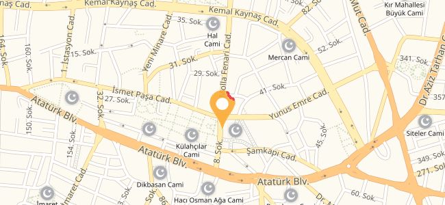 Korkmazlar Izgara Tantuni, Tahsin Ünal