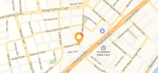 Bistr Kafe, 100. Yıl