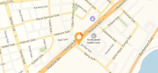 Özcız Köfte Salonu, 100. Yıl