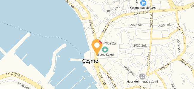 Ustanın Yeri, İsmet İnönü