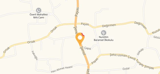 Kebapçı Metin Usta, Özerli