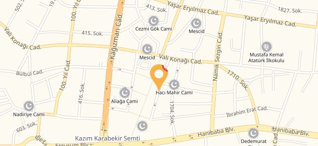 Keha Net Cafe, Leylek Pınar