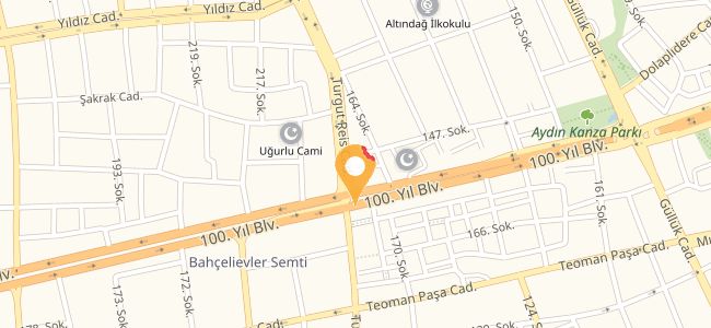 Çamlıca Kafe Bar, Yüzüncü Yıl