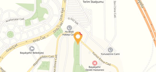 Zeytin Ağacı, Başakşehir Merkez