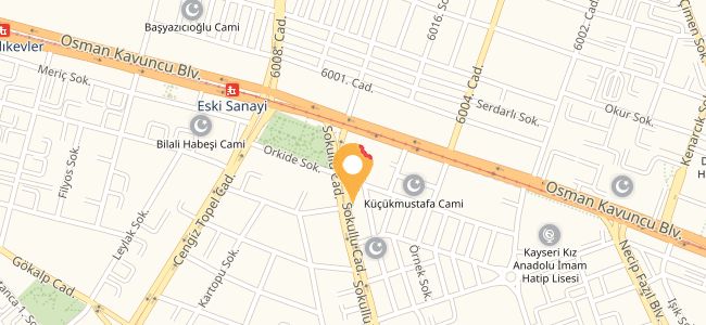 My Bey House Kebap & Pizza, Melikgazi Merkez