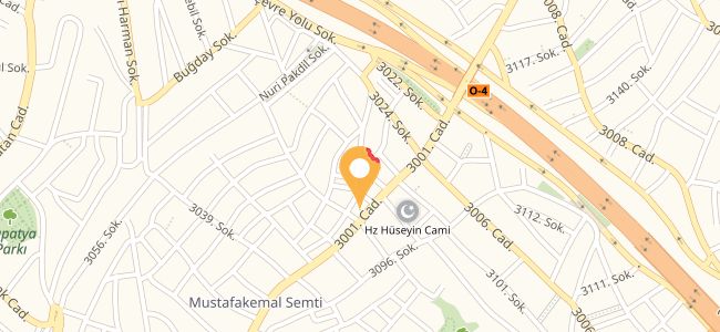 Mersin Yaprak Tantuni, Mustafa Kemal