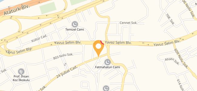Niyazi Usta Hamsiköy Sütlacı, Toklu