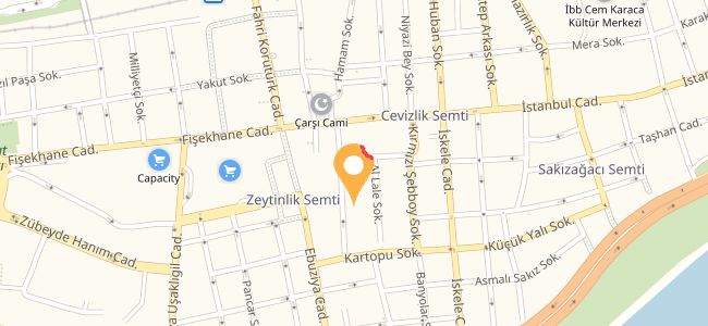 Eflatun Cafe, Ebuzziya