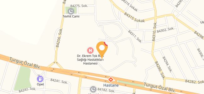 Ruh Sağlığı Kafeterya, Belediye Evleri