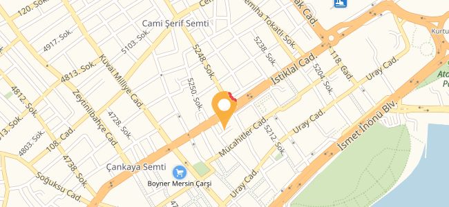 Yörük Dünyası, Cami Şerif