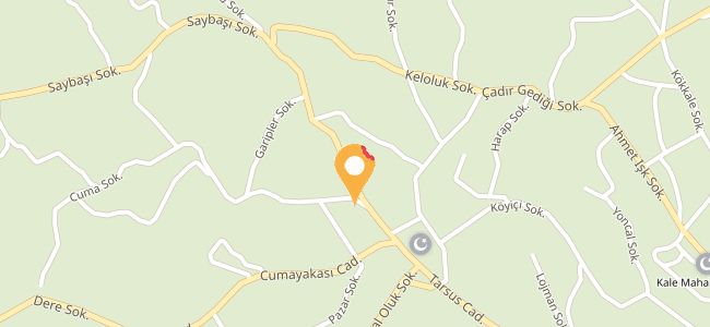 Meşhur Yayla Karsambaç Ali Karabulut, Kale