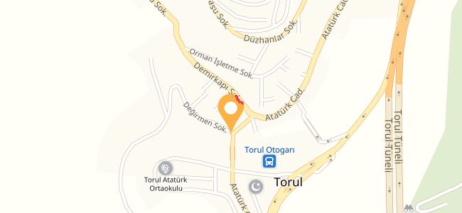 Goriyana Çay Evi, Torul Merkez