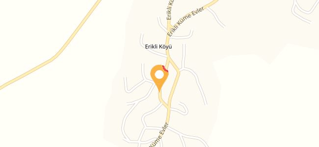 Sarmaşık Cafe, Erikli