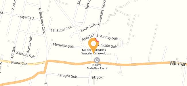 Nilüferköy Kahvesi, Nilüferköy