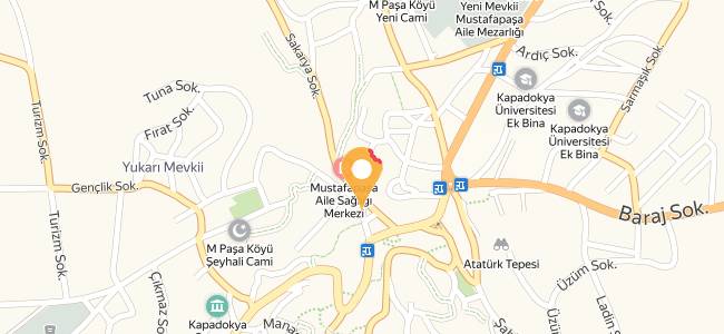 Ayşe Teyze, Mustafapaşa Köyü