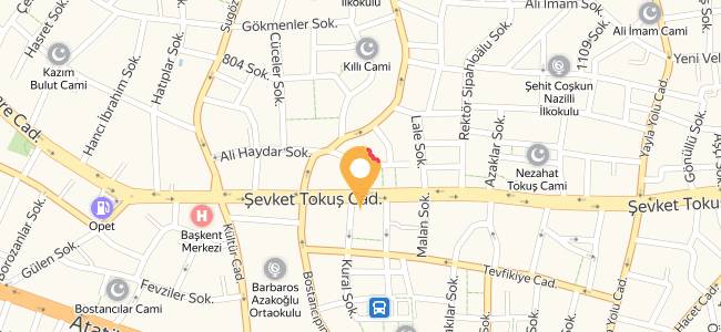 Dev Döner Hasan Usta, Alanya Merkez