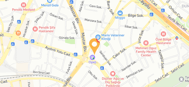 Aslı Börek Bahçelievler, Doğu Menü Burada