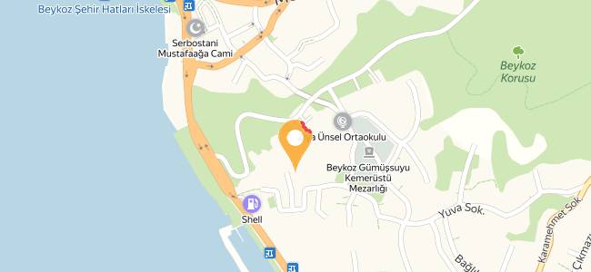 Meşhur Beykoz Kokoreççisi Ömer Reis, Gümüssuyu