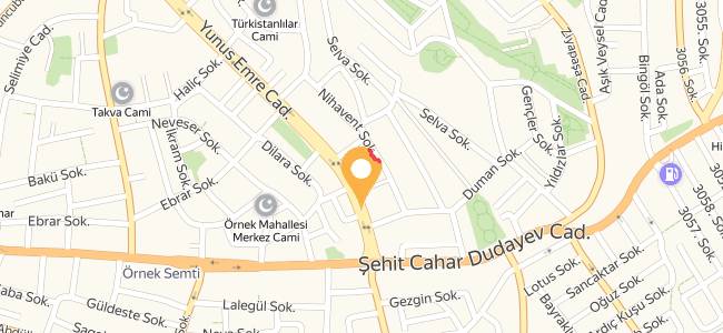 Selçuk Ayanoğlu Mandıra Ataşehir, Örnek Merkez