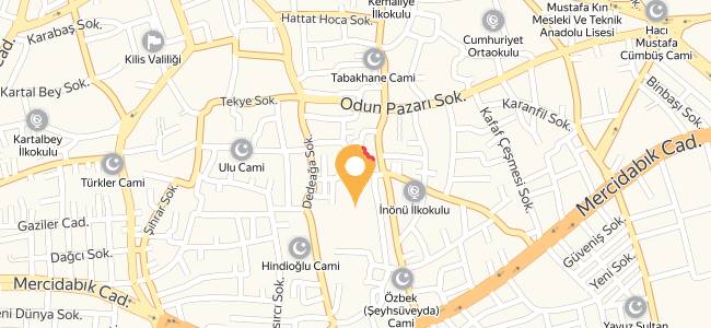 Hulk Dede Havuz Başı Aile Dürüm Ve Cafe, Aslan