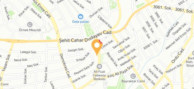 Acar Kebap & Tantuni, Örnek Merkez