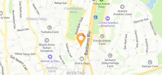 Saire, Cihannüma