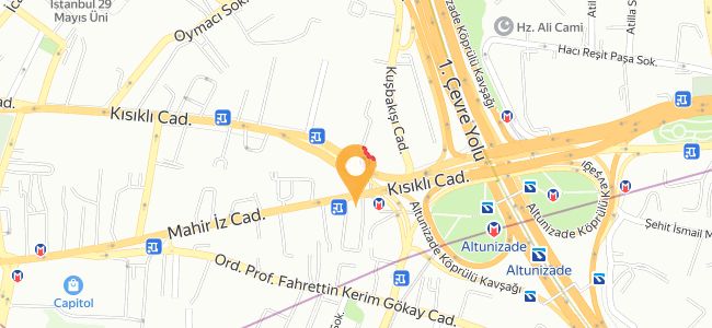 Coolcat Brasserie, Altun