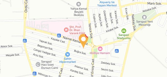 Ziya Usta, Emek