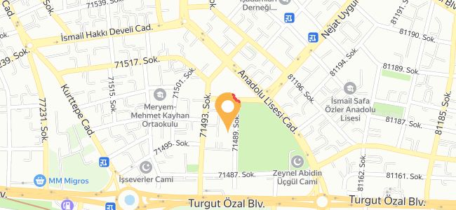 Hanımeli Ev Yemekleri Azize, Yurt