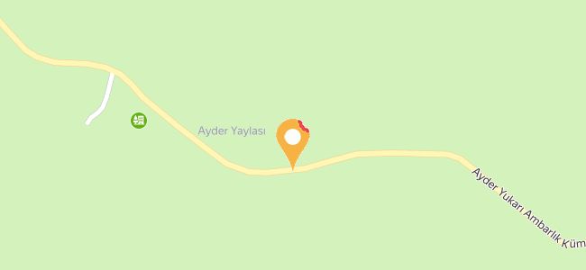Mahayvorer Resturan Ve Apart, Kaplıca