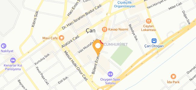 Mersin Tantuni, Atatürk