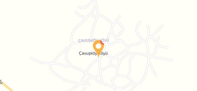 Arda Birahanesi, Çavuşköy Köyü