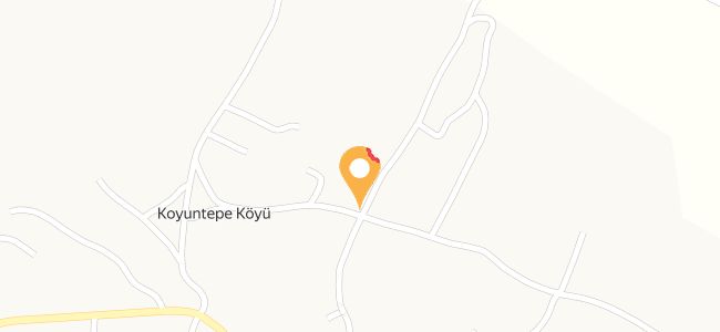 Devran Köftecisi, Koyuntepe Köyü