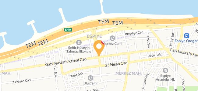 Hürriyet Çay Ocağı, Espiye