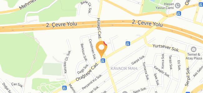 Has Köylü Tavuk Piliç, Kavacik