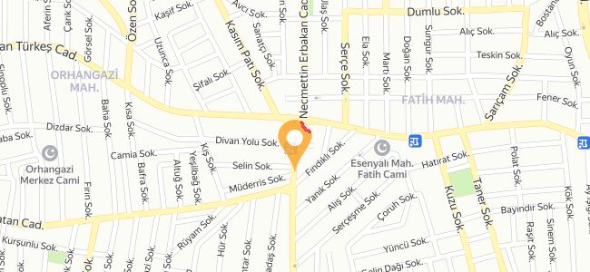 Seyidali Kebap Ve Döner Salonu, Pendikesenyalı