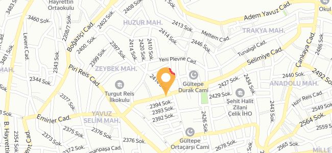 Doğuş Döner, Zeybek