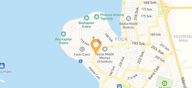 Zeynepin Elinden Ev Yemekleri, Fevzi Paşa
