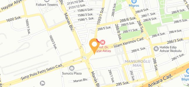 Kebab 79 Bülent Dinçel, Bayraklı