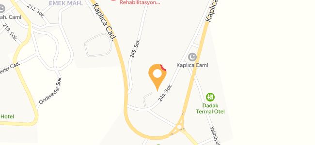 Mangal Keyfi Cafe & Restaurant, Emek