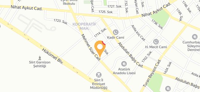 Okyanus Balık Evi Ve Kebap Salonu, Kooperatif