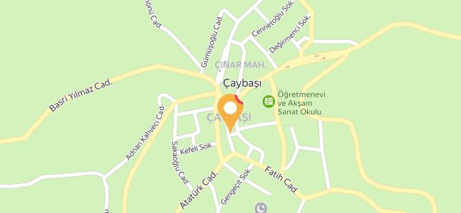 Çaybaşı Esnaf Lokantası, Çınar