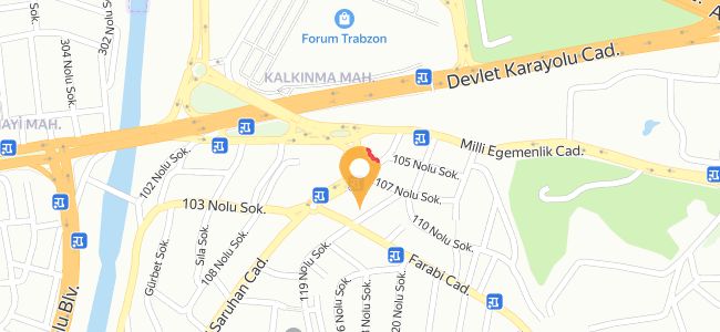 Dilek Cafes Burger Bar, Kalkınma